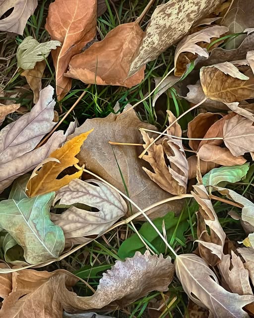 Photograph by Chuck Thurston: Fall day