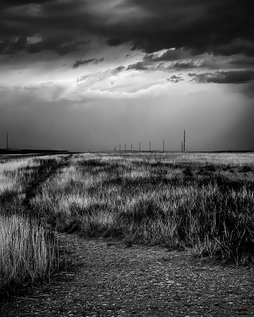 Photograph by Chuck Thurston: Fading light