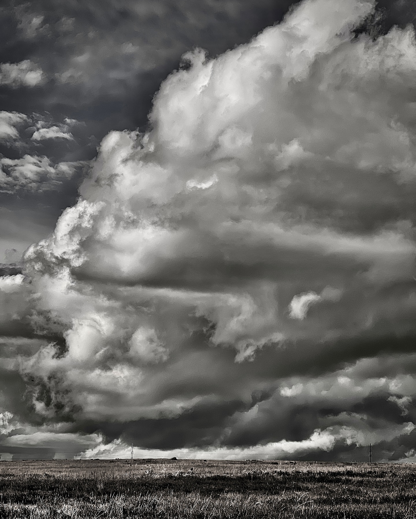 Photograph by Chuck Thurston: That monochrome feeling