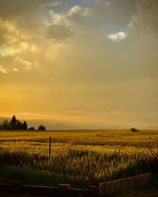 Photograph by Chuck Thurston: Quiet evening