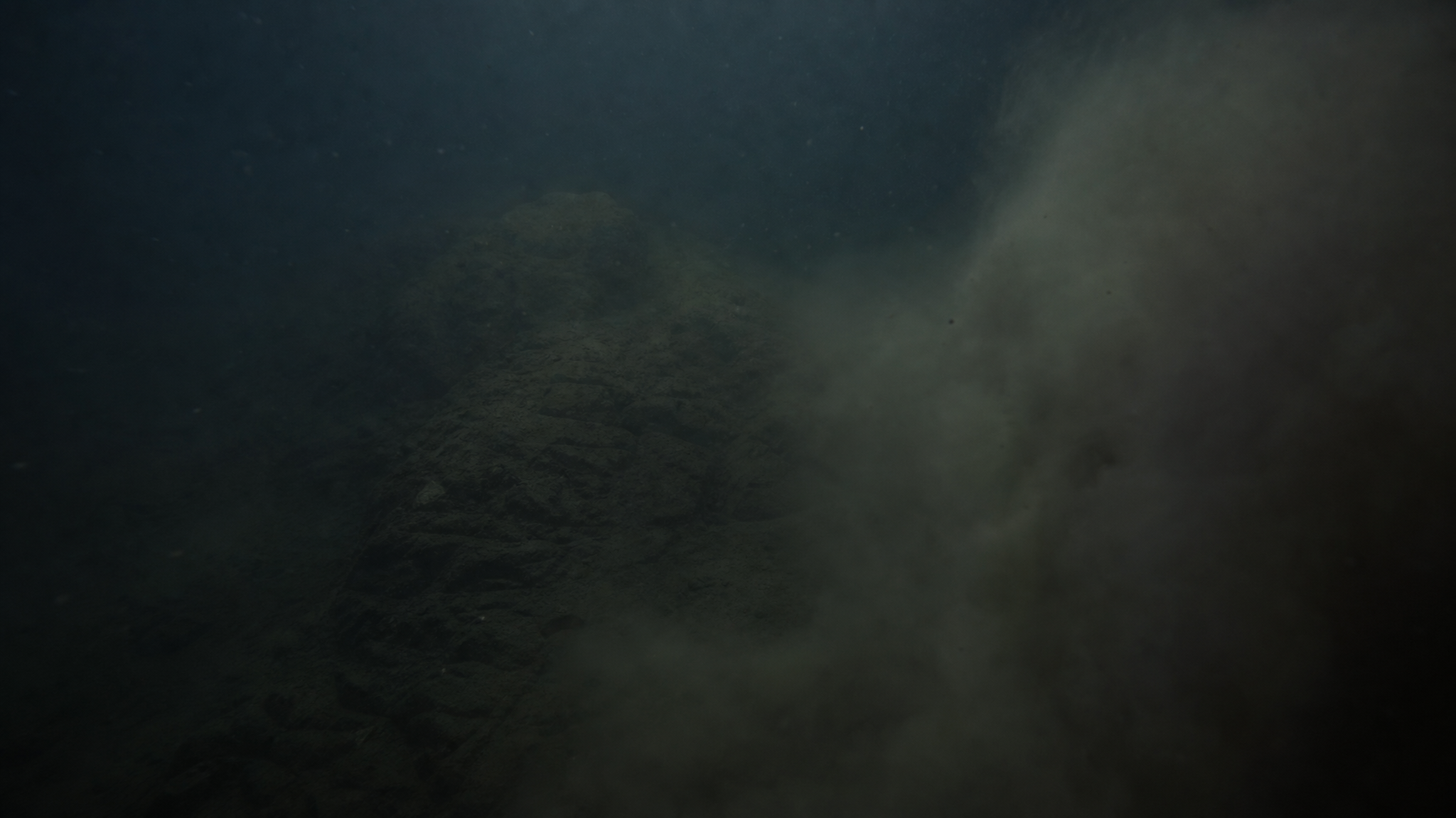 Underwater view from a lowered seabed camera, a faint ridge dissolving into a heavy cloud of stirred silt